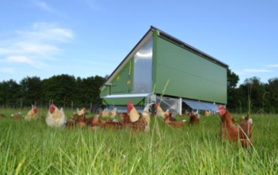 Neuer Hühnerstall